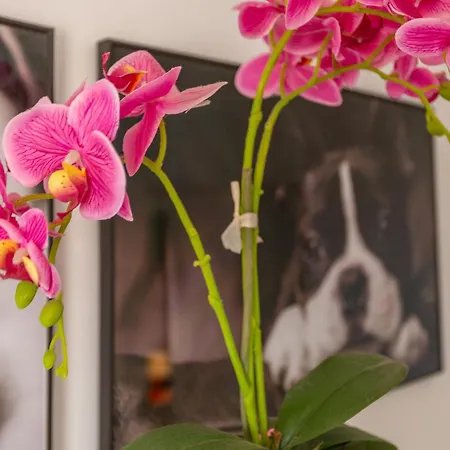 Apartment Flores3